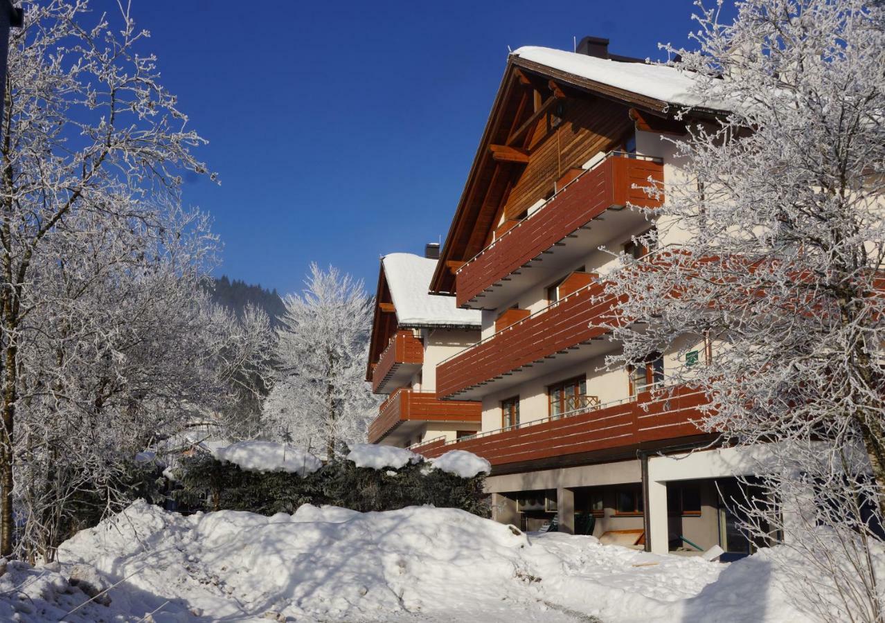 Appartementen Haus Bergblick Gosau Zewnętrze zdjęcie