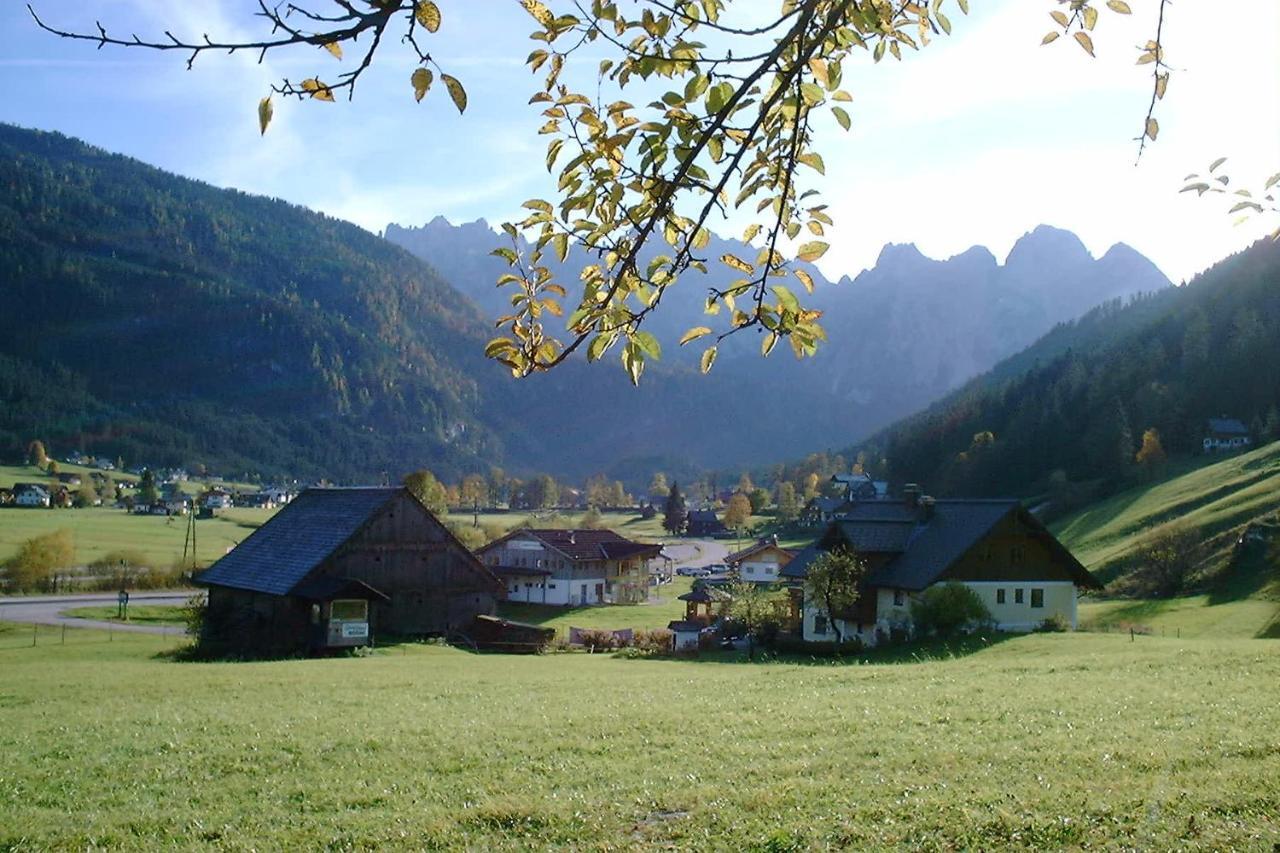 Appartementen Haus Bergblick Gosau Zewnętrze zdjęcie